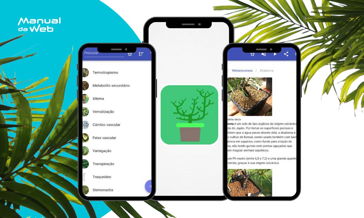 Aplicativo para estudar e conhecer a fisiologia das plantas 5 Aplicativo para estudar fisiologia das plantas