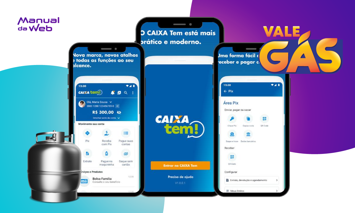 Consulta Vale Gás pelo CPF: aplicativo oficial 9 Consulta Vale Gás pelo CPF